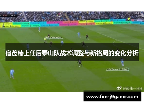 宿茂臻上任后泰山队战术调整与新格局的变化分析