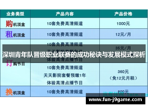 深圳青年队晋级职业联赛的成功秘诀与发展模式探析