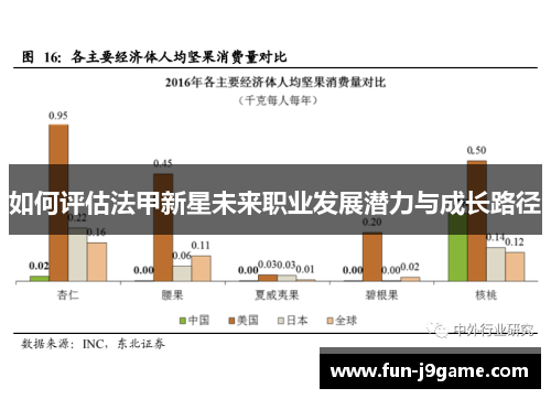 如何评估法甲新星未来职业发展潜力与成长路径